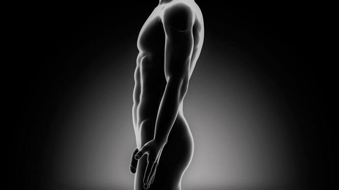 мужчины делают упражнения, чтобы увеличить пенис